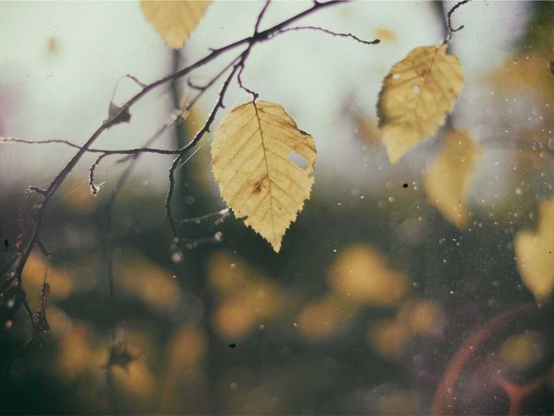 水墨抽象<br>qyi4ujty.cn 赵无极狂草